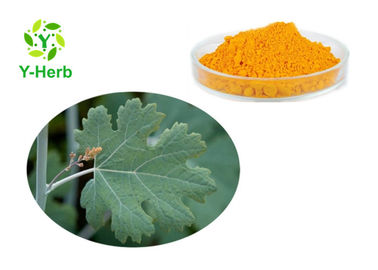 Bulk 10% 20% 40% 60% HPLC Alkaloids Macleaya Cordata Extract Sanguinarine Powder