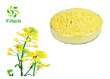 Fresh Organic  Bee Pollen Powder 100% Rape Flower Extract 18% Protein