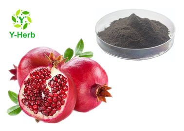 China Pomegranate Peel Extract Ellagic Acid Powder Pure Bark Polyphenol Gallogen