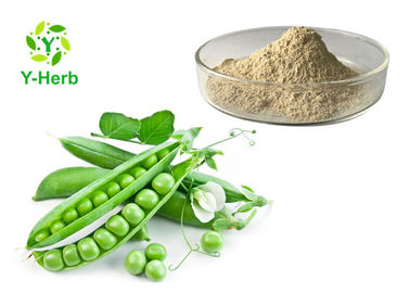P.E. Herbal Extract Pea Protein Peptide Powder Pisum Sativum Pea Extract Powder