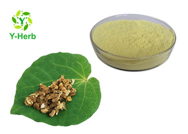 Kava Root Natural Kavalactone Extract Cas 587-63-3 Dihydrokavain Powder