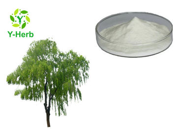 Salix Alba Bark extract 10% 50% 98% Salicin Powder White Willow Bark Extract