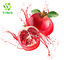 Spray Dried Instant Fresh Pomegranate Juice Concentrate Powder 100% Water Soluble