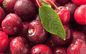 Vitamin C Powder Cherry Juice Concentrate VC 17% 25% Acerola Cherry Extract