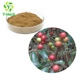 Factory Supply Organic Bulk 10:1 50:1 100:1 Embelia Laeta Extract Powder