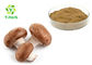 Shiitake Mushroom Extract Powder Active Hexose Correlated Compound Bulk AHCC Powder