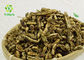 CAS: 446-72-0 Natural Fructus Sophorae Extract Genistein Powder 98% Manufacturer