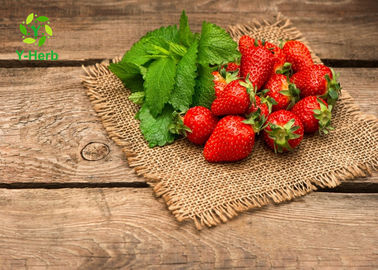 Food Grade Strawberry Extract Powder Organic Dietary Supplement For Beverage